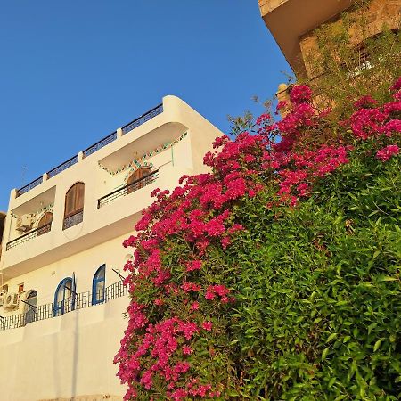 Nobatia Guest House 2 Asvan Dış mekan fotoğraf
